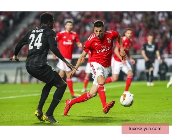 本菲卡本赛季技术统计表现稳健，攻防数据持续提升